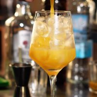 504491892_1778223763049136_8274654723276769889_n