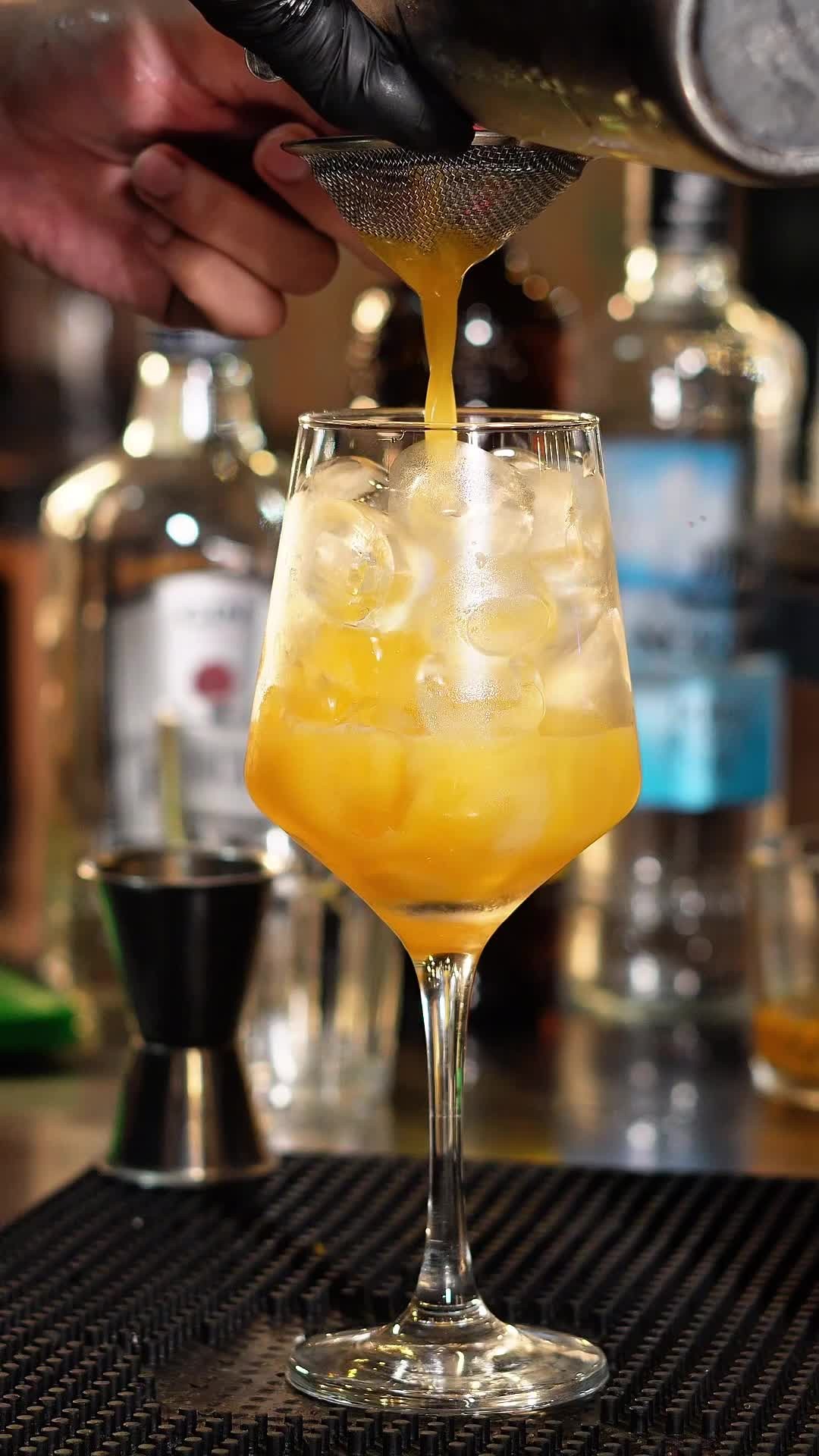 504491892_1778223763049136_8274654723276769889_n